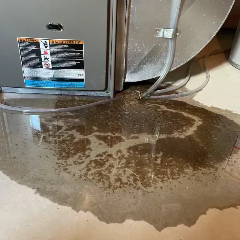 Appliance Leak Cleanup in Saint Charles County, MO